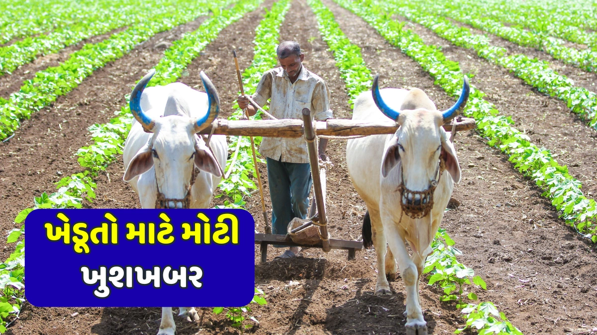 Agriculture Loan Subsidy