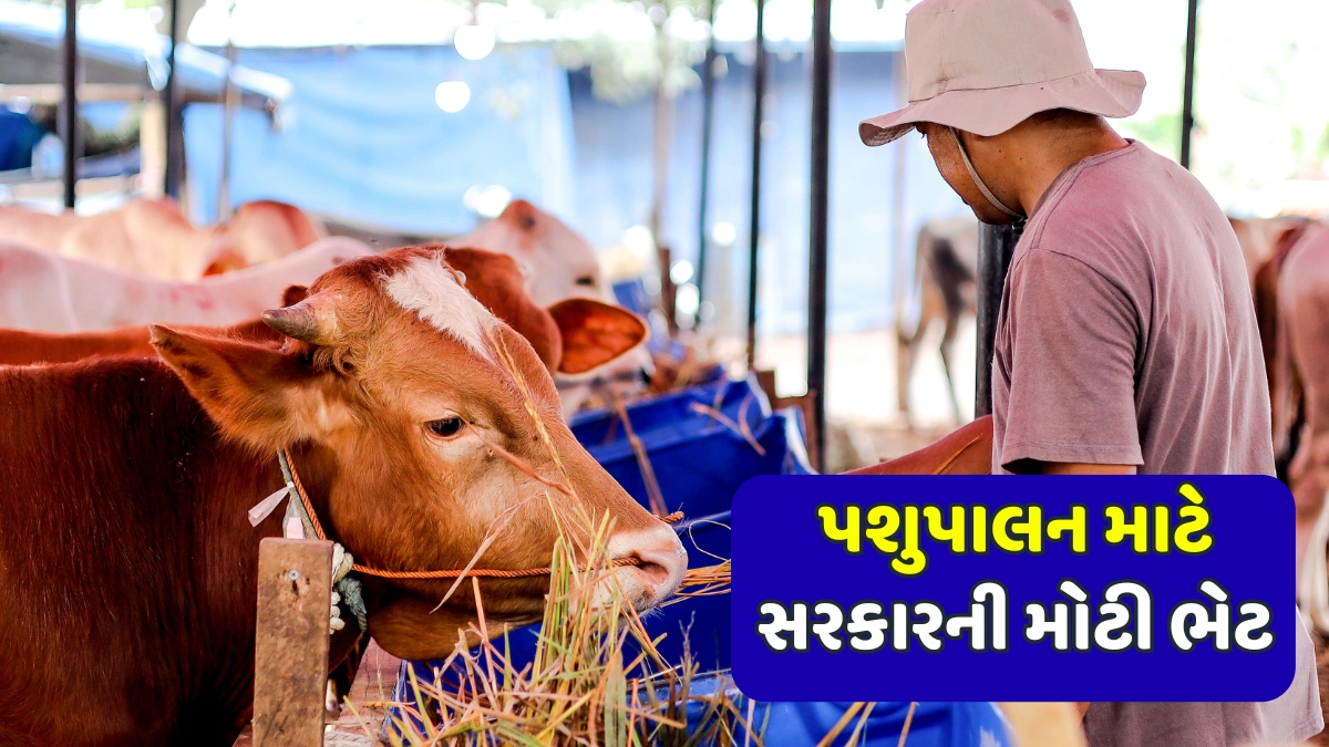 Animal Husbandry Subsidy